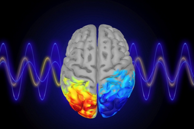 Controlando la atención con ondas cerebrales