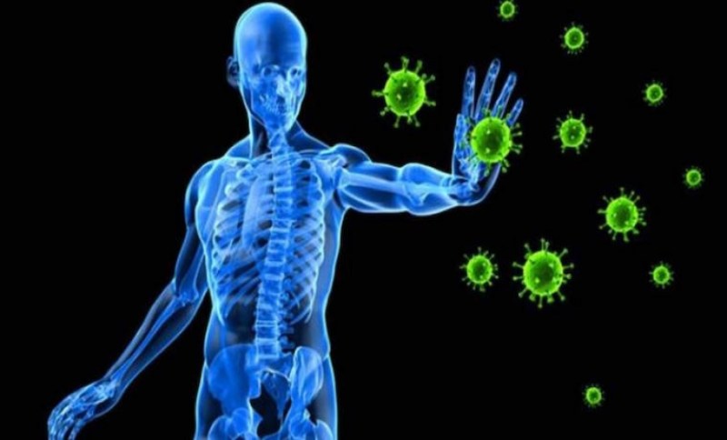 La evolución del sistema inmunitario está asociada con la aparición de enfermedades inflamatorias y autoinmunes