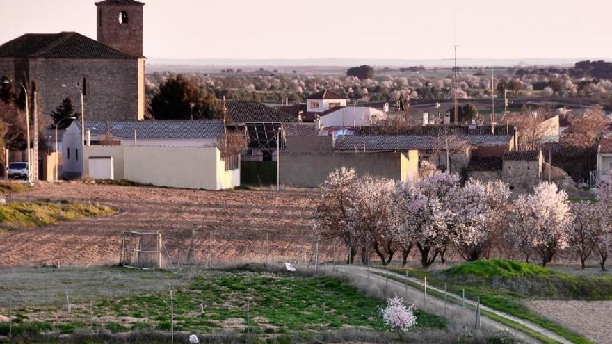 La Justicia anula la ordenanza de purines que un pueblo de Cuenca aprobó para blindarse contra las macrogranjas