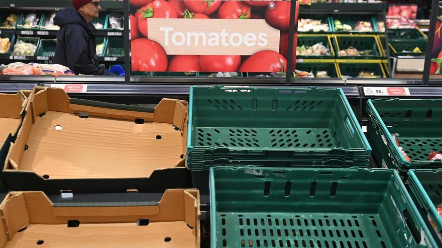 Por qué faltan tomates en los supermercados británicos: el frío y, una vez más, el Brexit