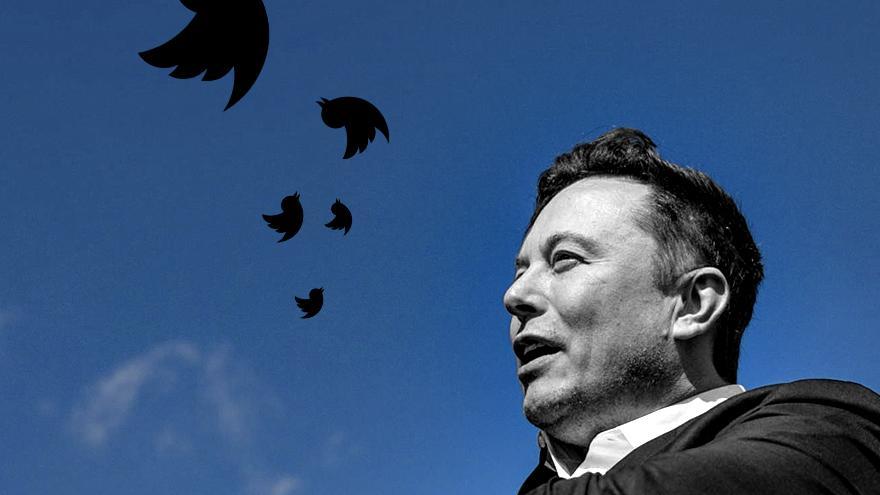 Fallos constantes, toxicidad y caos: la nueva realidad del Twitter de Elon Musk