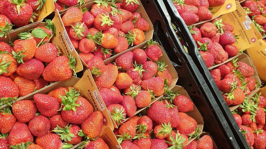 El problema alemán de las fresas de Huelva: son frutas “baratas” que vienen de “robar agua” en Doñana