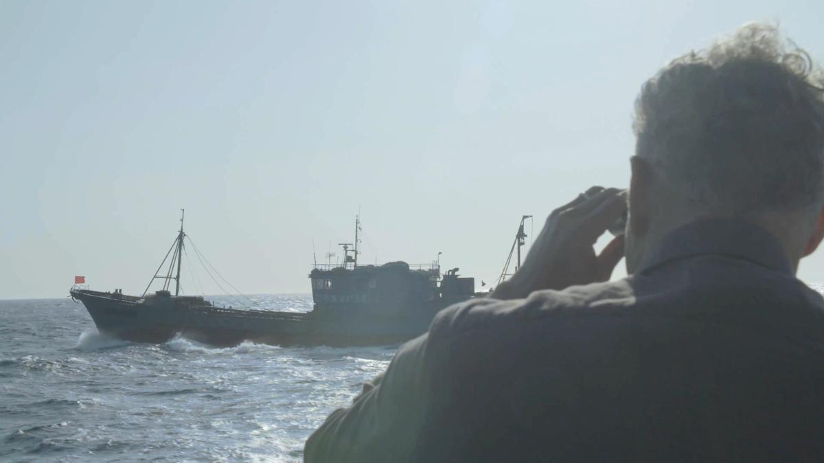 Cazar a un fantasma: el misterioso caso de los barcos norcoreanos y los calamares desaparecidos