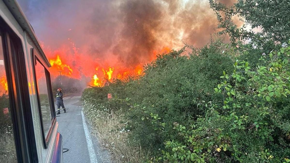 Las altas temperaturas y el viento desatan un infierno de fuego en Grecia, Italia y Argelia