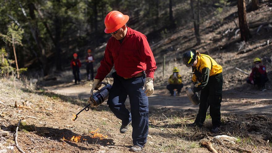 Combatir el fuego con fuego según la sabiduría indígena de Canadá