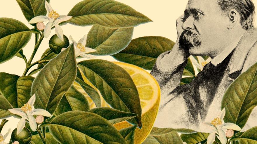 Los pobres arbolillos japoneses de Proust y el limonero de Nietzsche