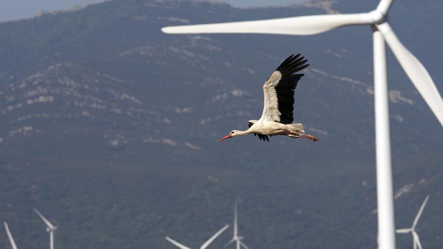 El Gobierno destina 162 millones a sustituir 1.205 aerogeneradores antiguos y al reciclaje de palas eólicas