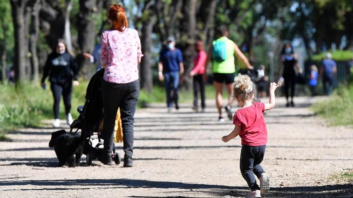 El Tribunal de Cuentas insta a ampliar el fondo público de alimentos para niños: deniega el 70% de las solicitudes