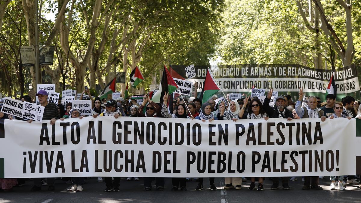 Miles de personas recorren un centenar de ciudades para defender a Palestina: 
