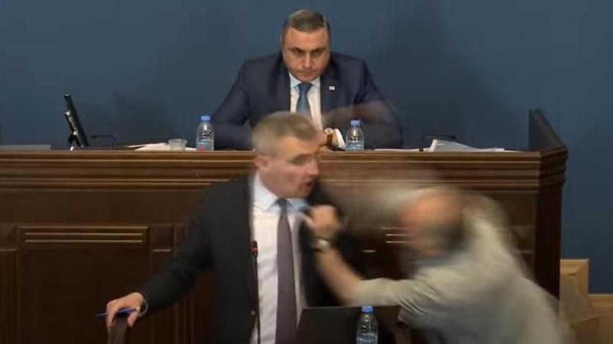 Tensión en el Parlamento de Georgia después de que el jefe de la oposición agrediera a un miembro del Gobierno