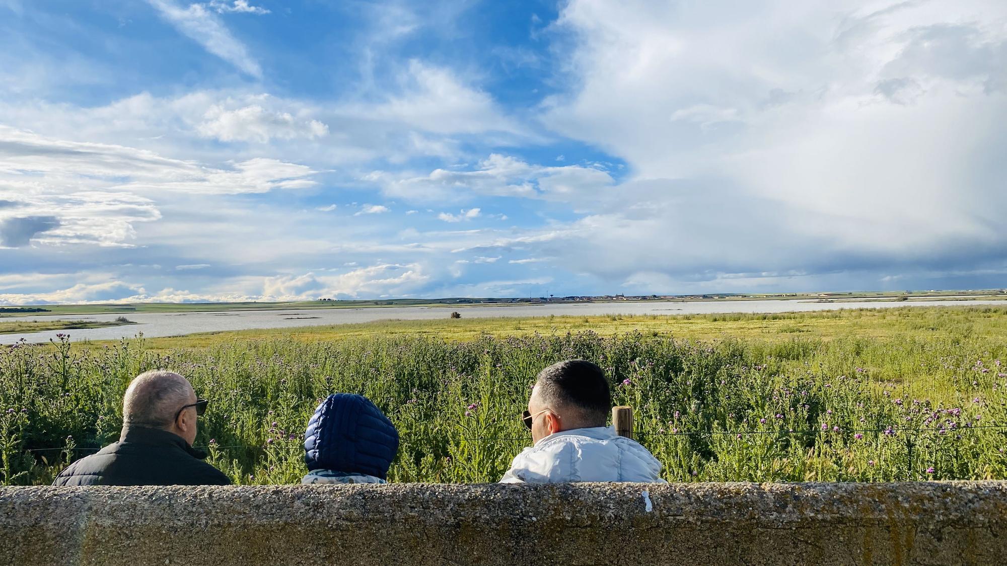 Varios visitantes observan el paisaje y la población de aves de las Lagunas de Villafáfila