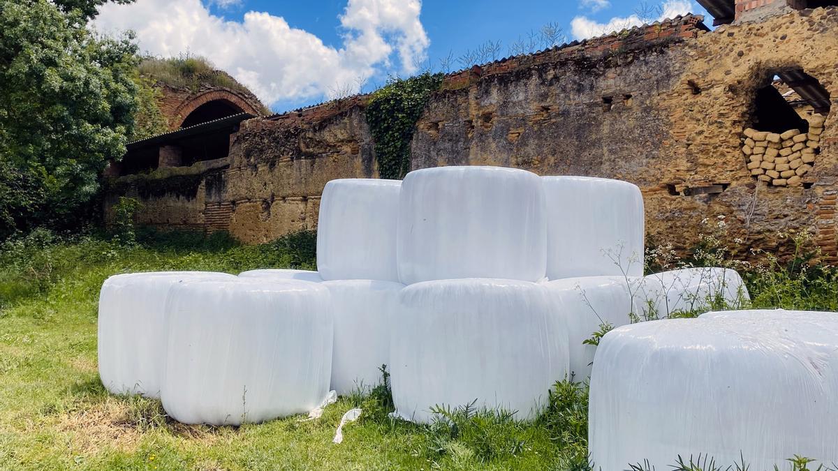 Imagen del monasterio palentino de Santa María de la Vega desde el exterior de sus muros