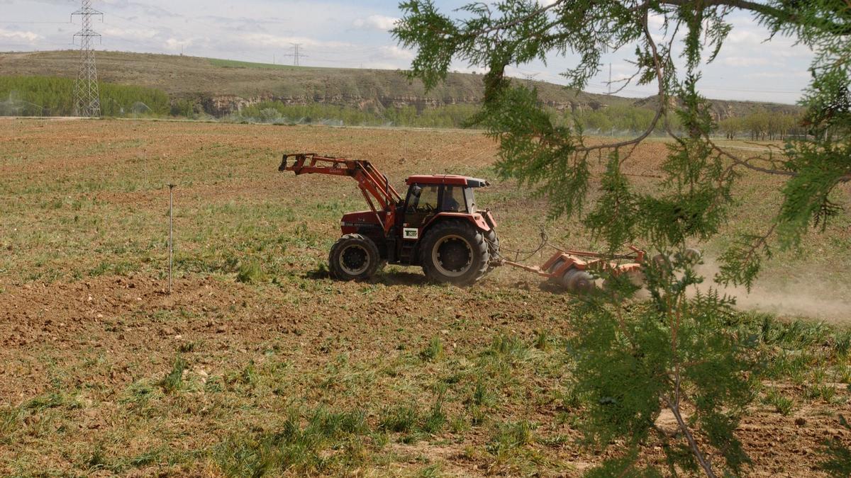 Las comunidades ‘secas’ hacen frente común para pedir al Ministerio de Agricultura más medidas contra la sequía