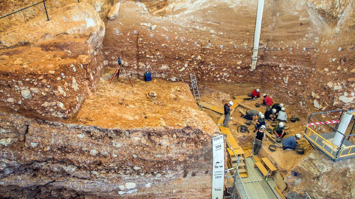 Arqueólogos trabajan el el yacimiento de Gran Dolina en Atapuerca.