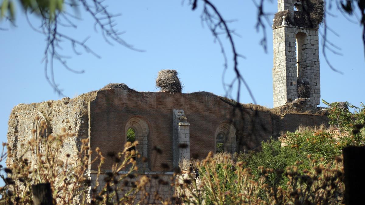 El silencio definitivo de Aniago, la cartuja del siglo xv que se consume entre la maleza y la desidia