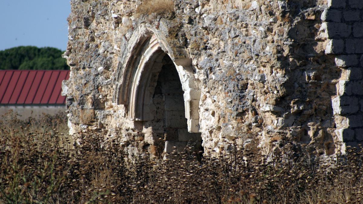 Detalle de las ruinas de Aniago