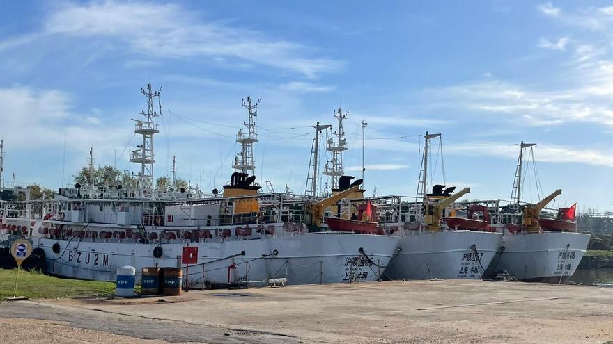 Varios buques pesqueros propiedad de una empresa argentina con importantes inversiones chinas yacen atracados en Buenos Aires. Dos de los buques tienen registros de desembarco de tripulantes muertos en Montevideo, un puerto uruguayo. Uno de los buques faenó anteriormente en aguas internacionales cercanas a Argentina y tiene antecedentes de haber desactivado su sistema de identificación automática: un indicador de posible pesca ilegal.