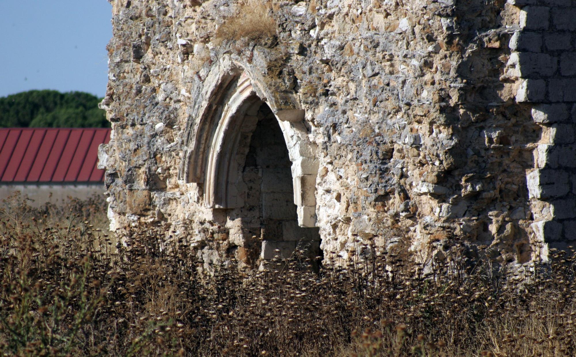 Detalle de las ruinas de Aniago