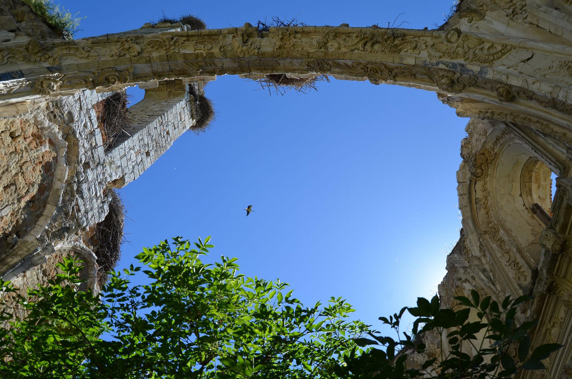 Los muros del monasterio, con las cubiertas desaparecidas, desde el interior