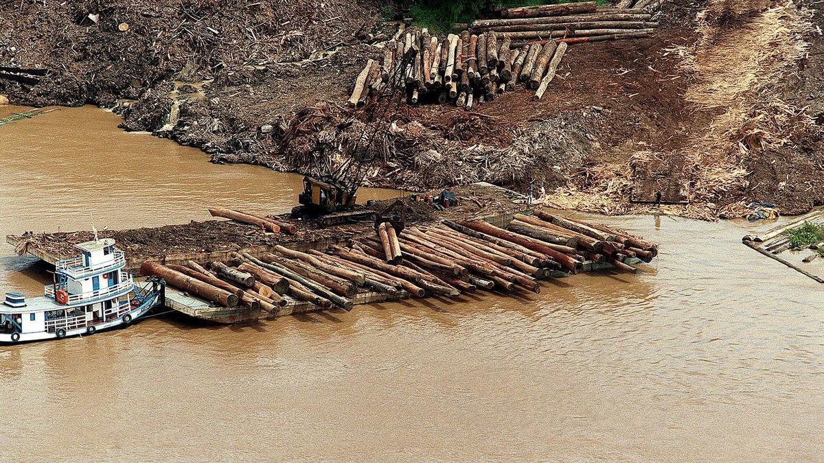 La Comisión Europea sucumbe a la presión y aplaza un año la normativa contra la deforestación