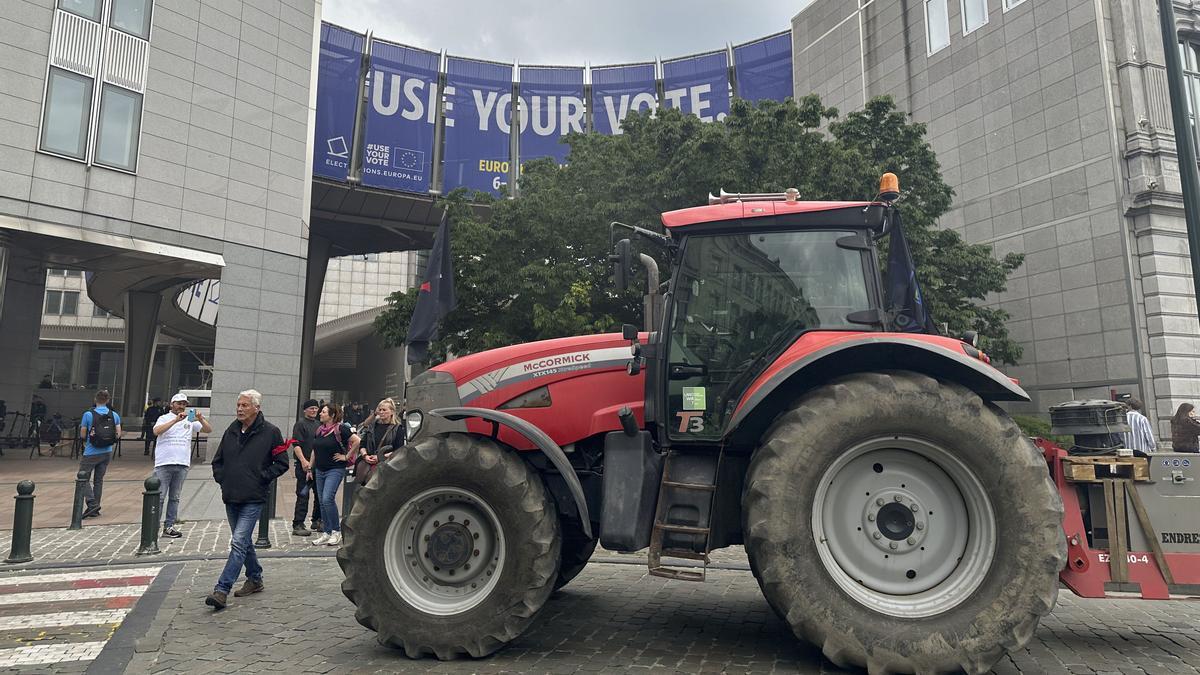 Cómo la plaga de las macrogranjas está matando a las pequeñas explotaciones en Europa