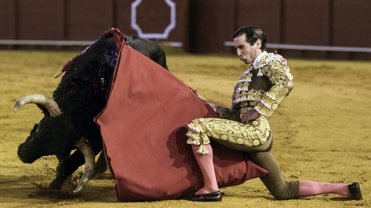 La Fundación Toro de Lidia recurre la supresión del Premio Nacional de Tauromaquia