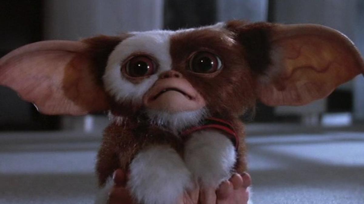 Gizmo, la adorable mascota protagonista de 'Gremlins'