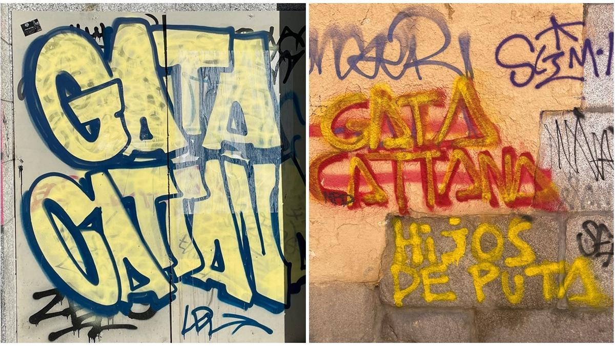 Pintadas de homenaje a Gata Cattana