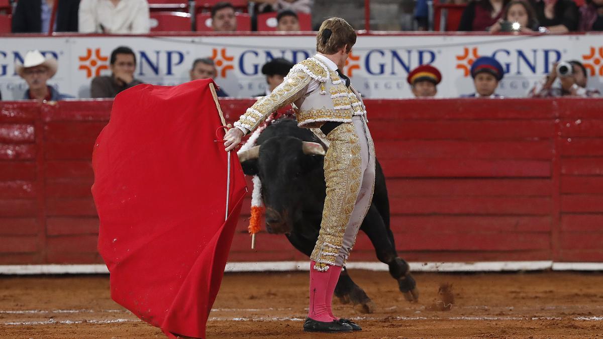 La Fundación del Toro de Lidia convoca su propio Premio Nacional de Tauromaquia junto al Senado y nueve comunidades autónomas