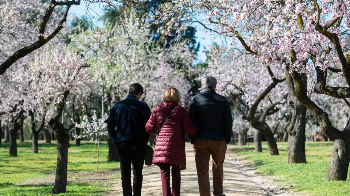 Tres personas pasean bajo los almendros en flor en el Parque de la Quinta de los Molinos (Madrid)