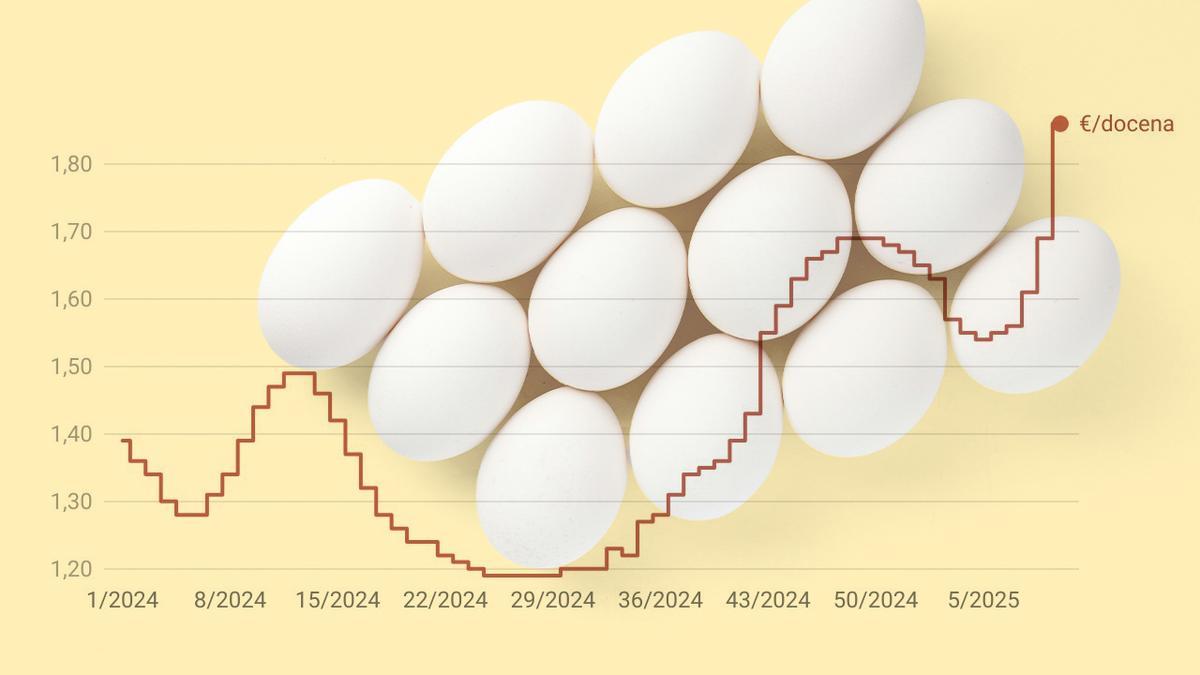 ¿Qué está pasando con el precio de los huevos? Suben un 30% en un año entre el miedo y la especulación por la gripe aviar