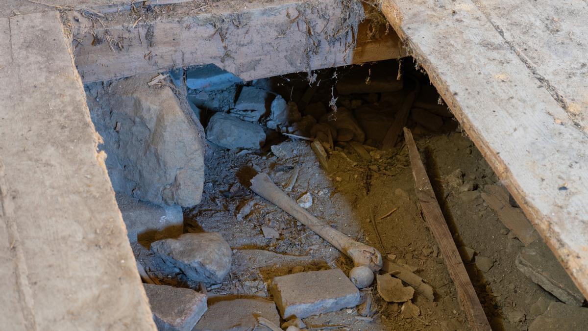 Restos de huesos humanos, tras el expolio de las tumbas situadas bajo el piso de madera de la nave de la iglesia